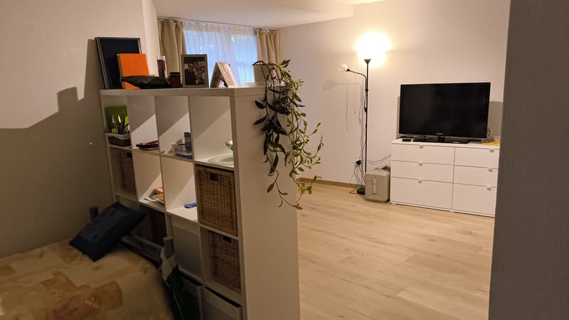 WG-Zimmer in Grüningen (2)