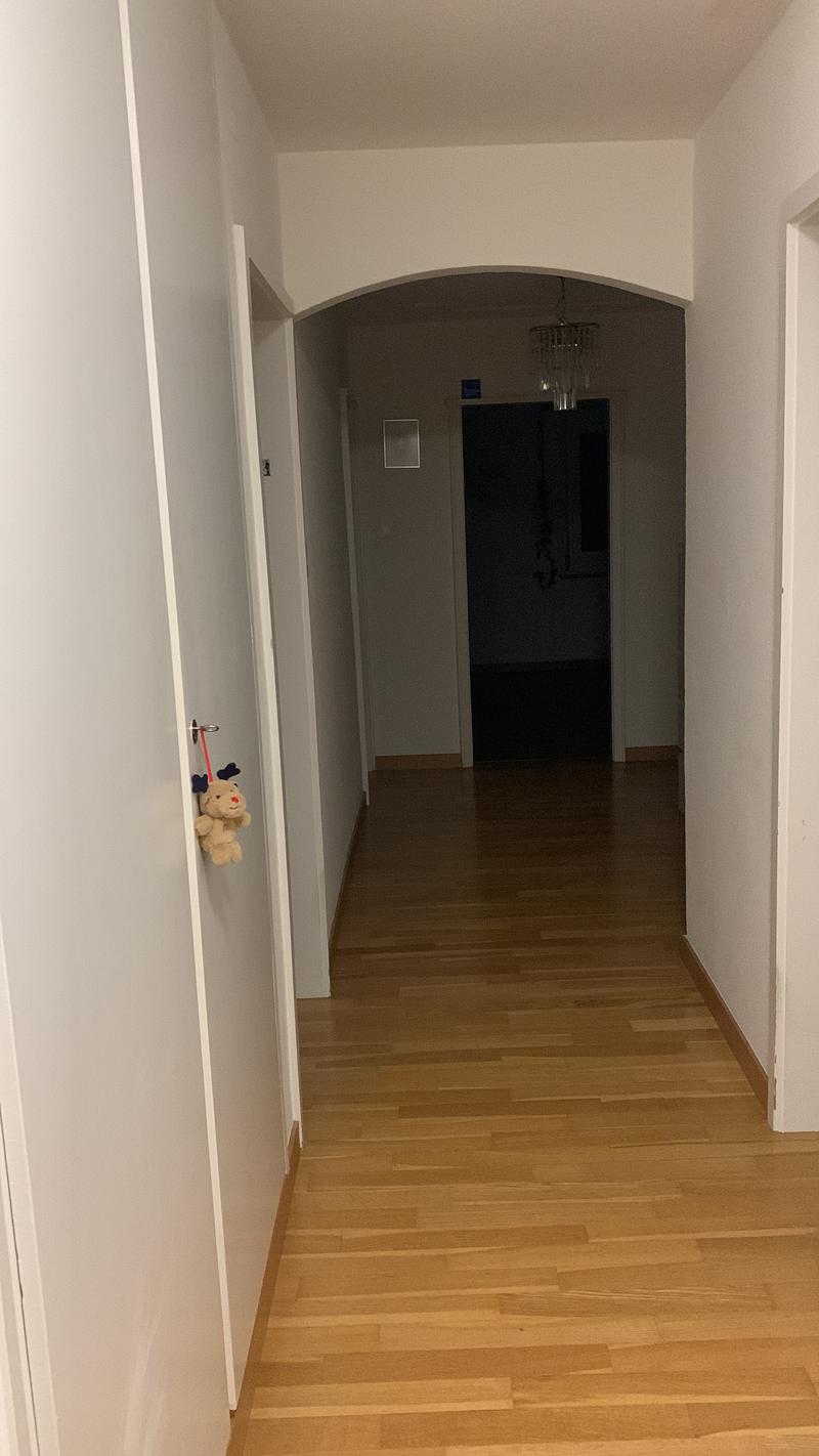 Room in shared flat in St. Gallen (1)
