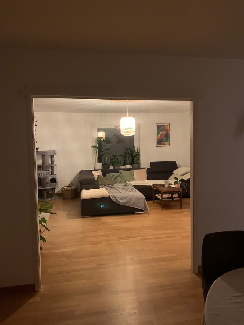 Room in shared flat in St. Gallen (3)