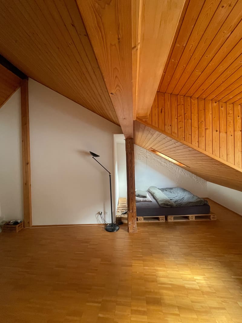 WG-Zimmer in Schaffhausen (3)