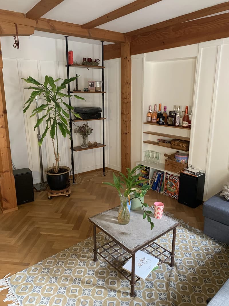 WG-Zimmer in Schaffhausen (8)