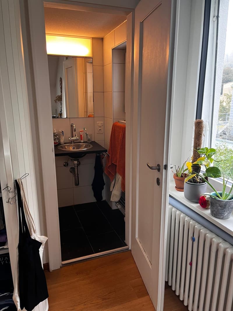 WG-Zimmer in Ennetbaden (3)