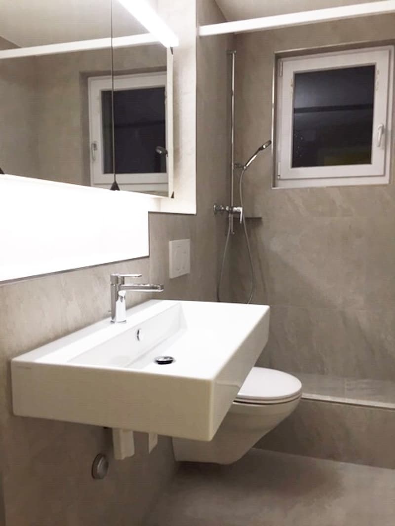 Room in shared flat in Wallisellen (3)