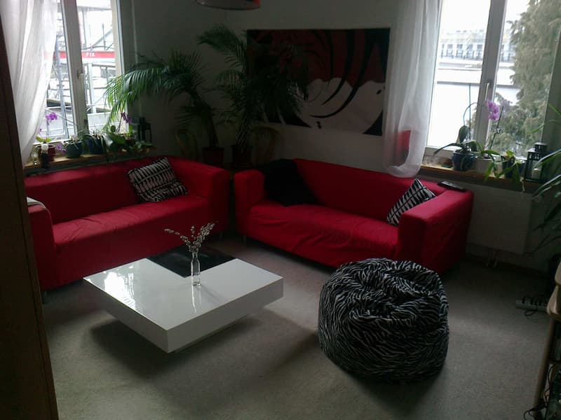 Room in shared flat in Wallisellen (2)