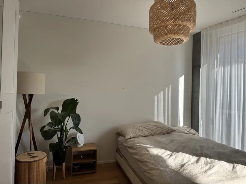 WG-Zimmer in Zürich (3)