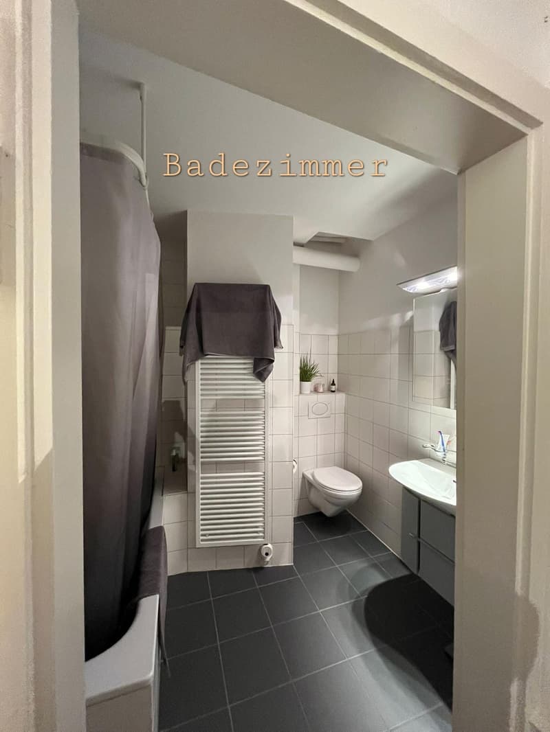 WG-Zimmer in Basel (3)