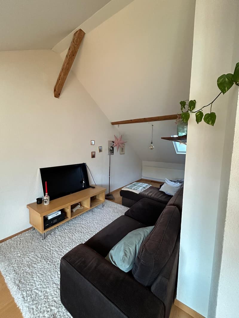 WG-Zimmer in Winterthur (2)