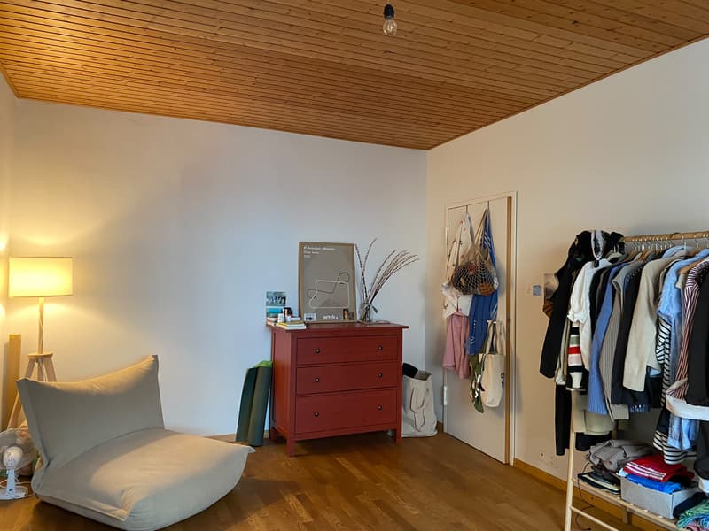 WG-Zimmer in Basel (2)