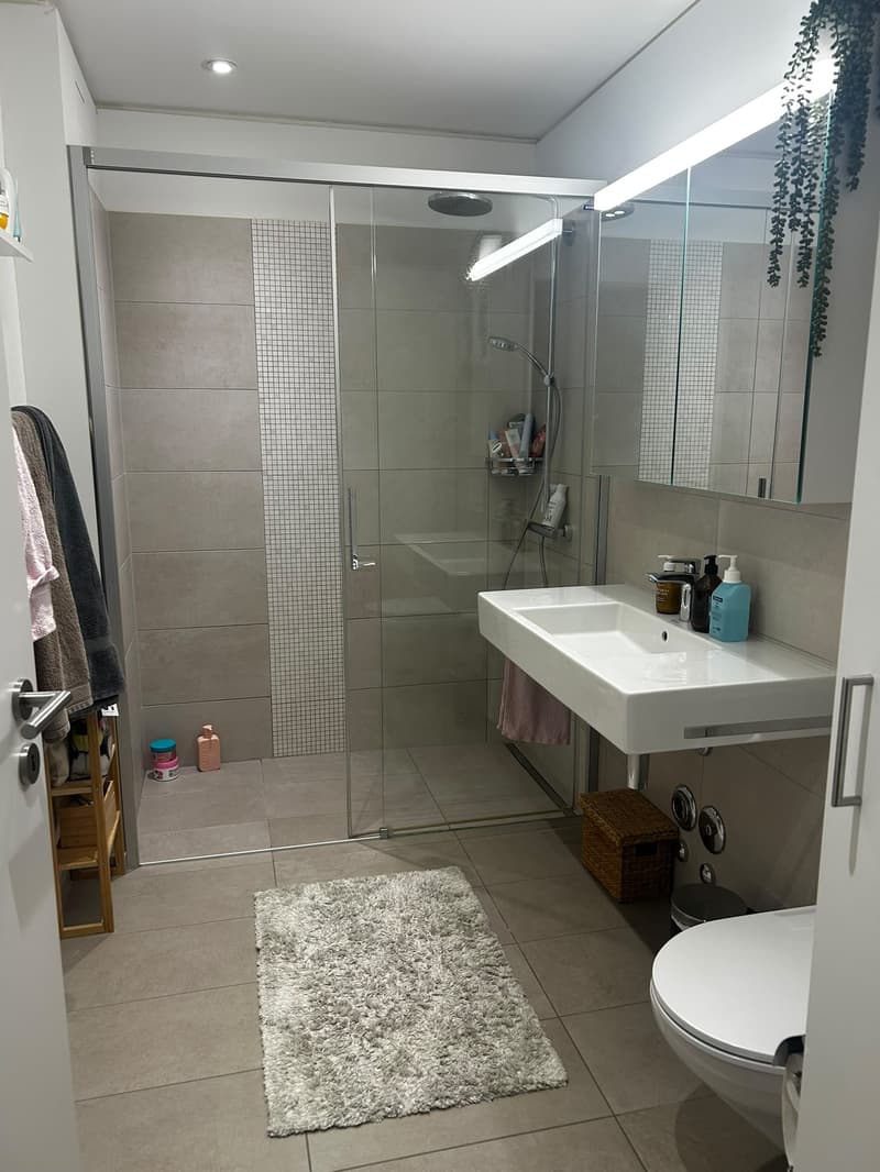 WG-Zimmer in Zürich (4)