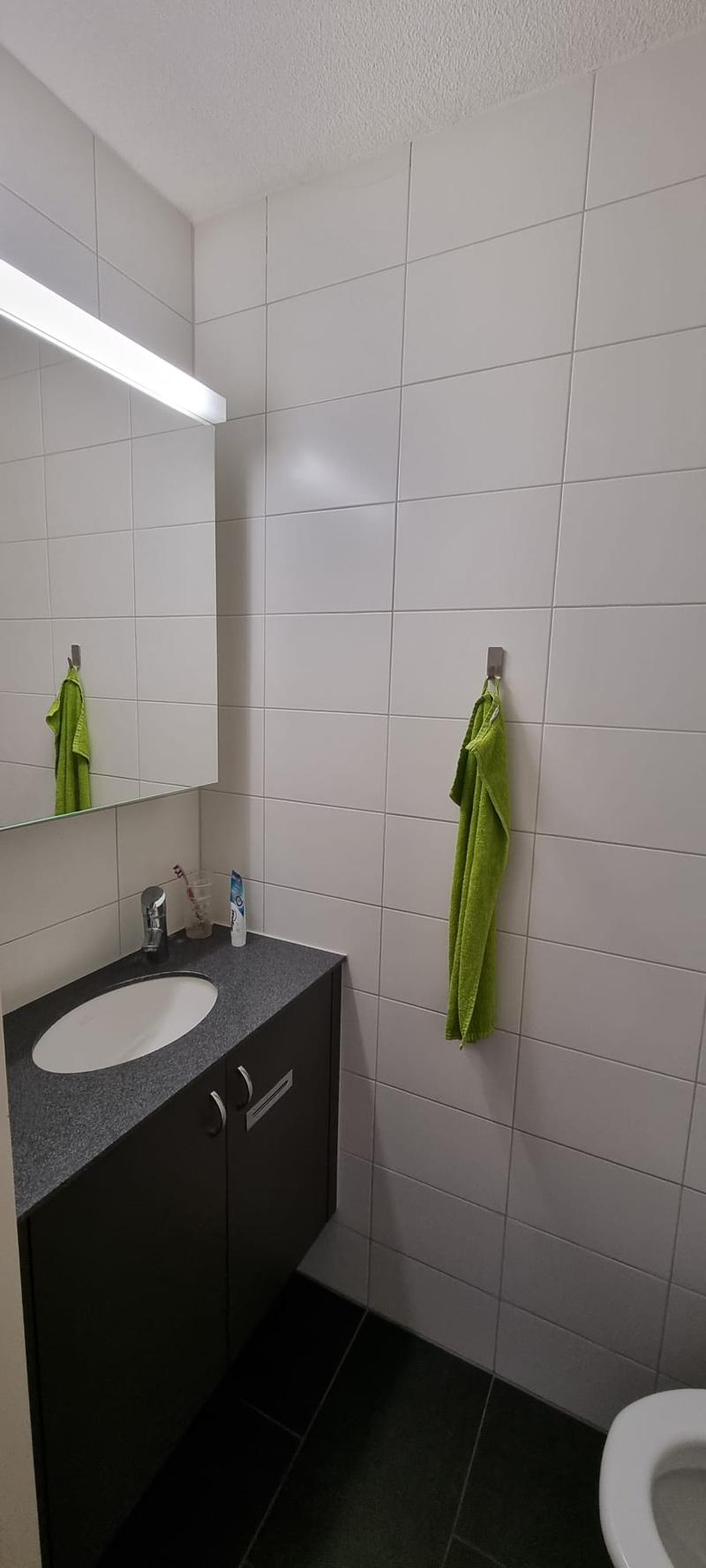 WG-Zimmer in Bern (6)
