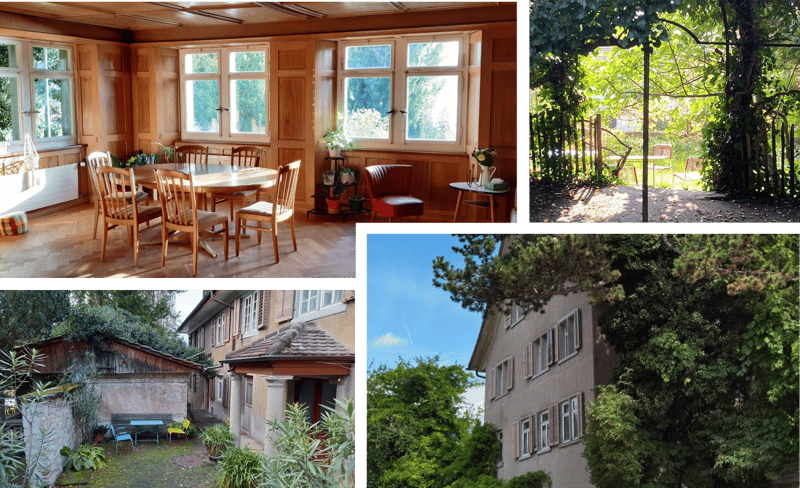 Room in shared flat in Meilen (7)