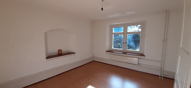 Room in shared flat in Meilen (2)