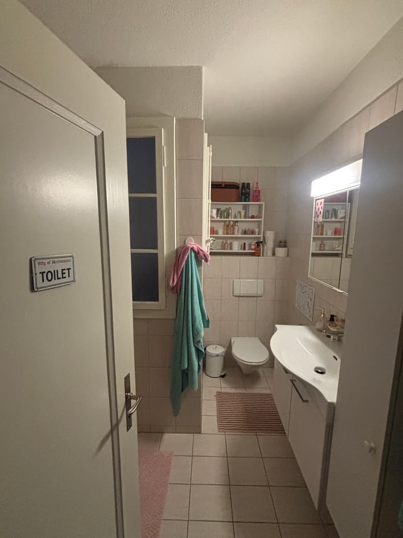 Room in shared flat in Bern (7)