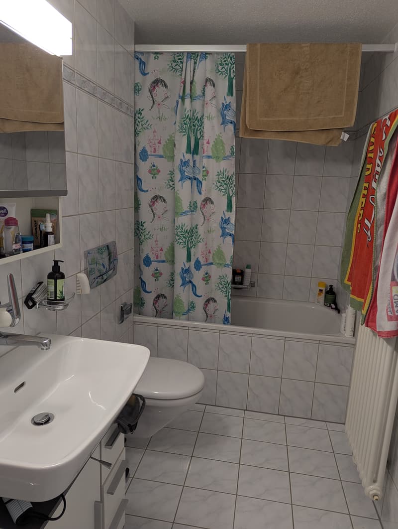 Room in shared flat in Schmerikon (5)