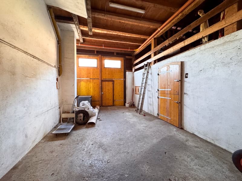 ### Proprietà di carattere con vista panoramica sul lago – Villeneuve (9)