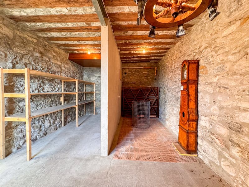 ### Proprietà di carattere con vista panoramica sul lago – Villeneuve (16)
