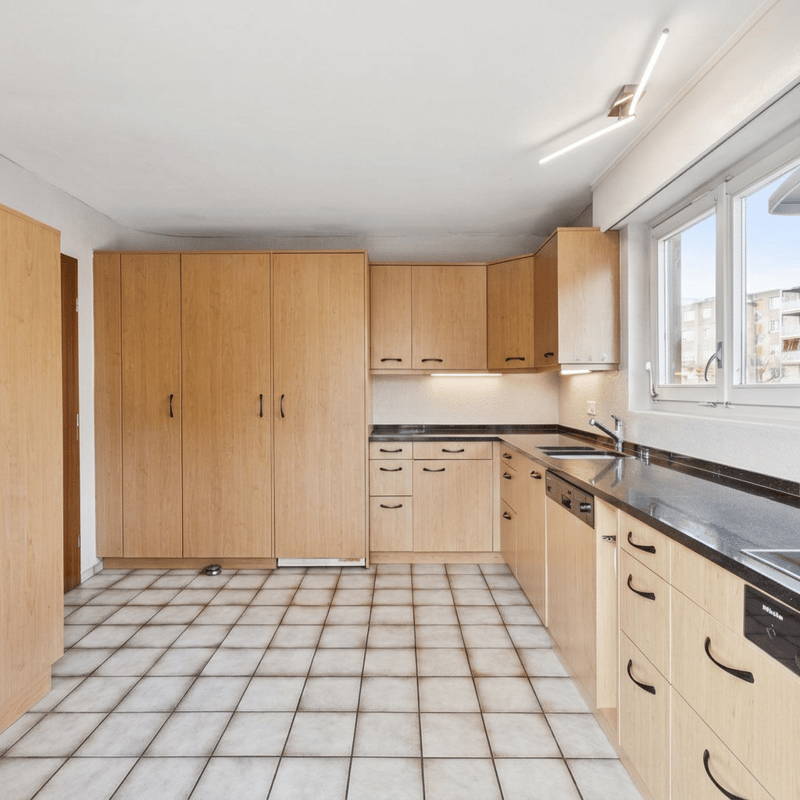 Attique 7.5 pièces – 154 m² habitables – Terrasse plein sud de 110 m² et vue panoramique (6)