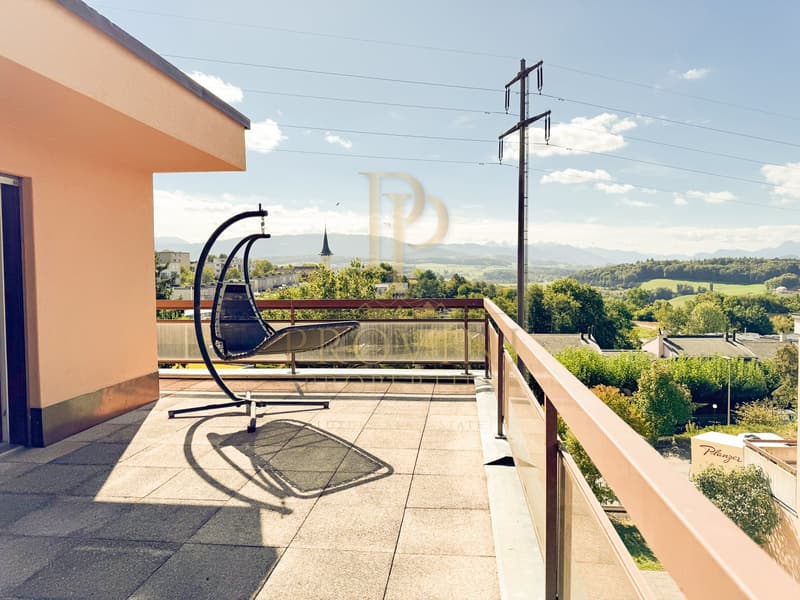 Attique 7.5 pièces – 154 m² habitables – Terrasse plein sud de 110 m² et vue panoramique (14)