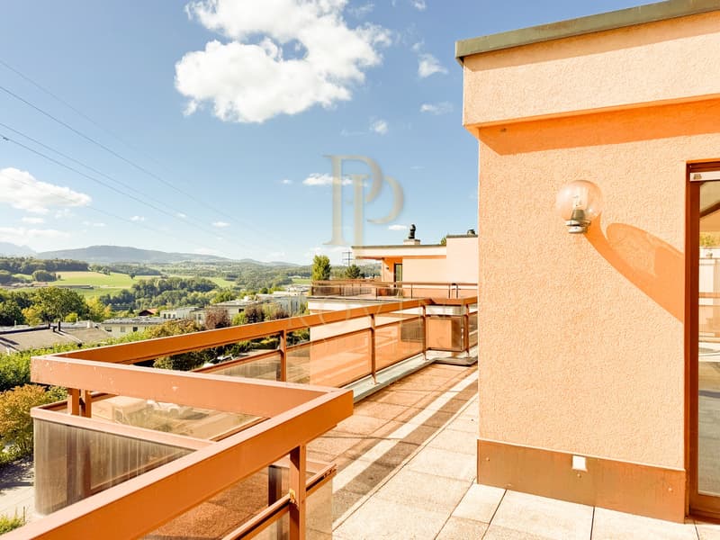 Attique 7.5 pièces – 154 m² habitables – Terrasse plein sud de 110 m² et vue panoramique (1)