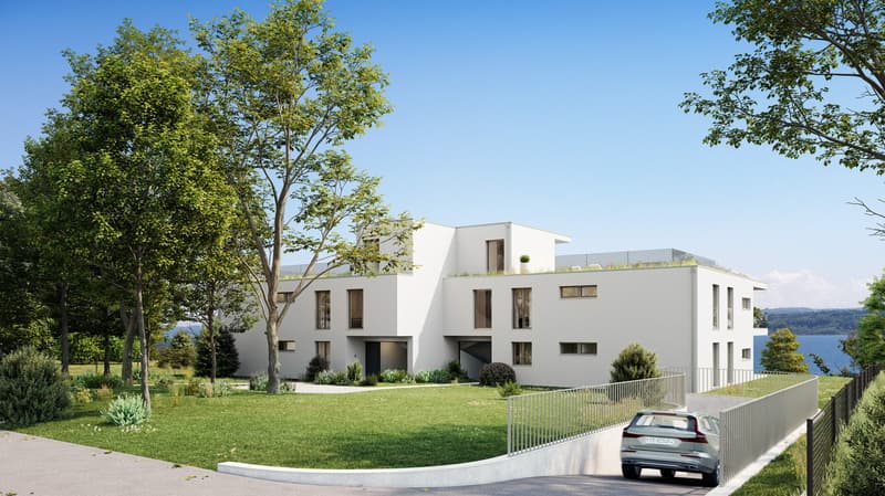 Vaste jardin privatif et vue sur le lac pour ce 5,5 pièces contemporain (3)