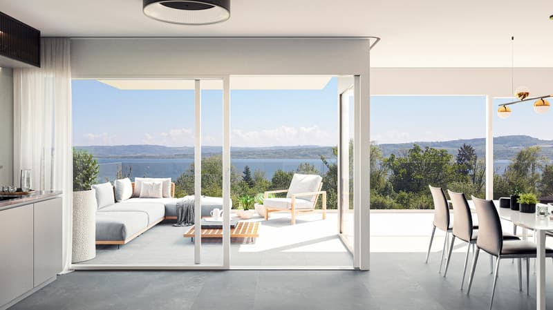 Vaste jardin privatif et vue sur le lac pour ce 5,5 pièces contemporain (6)