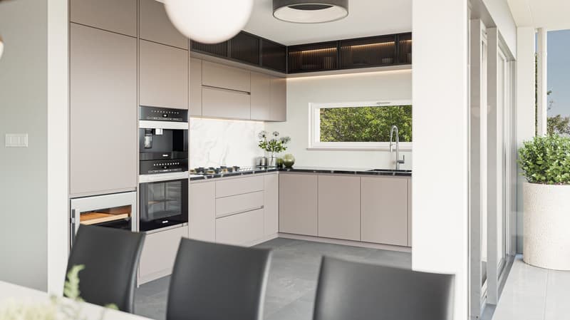 TOIT TERRASSE panoramique de 93 m² et vue sur le lac (8)