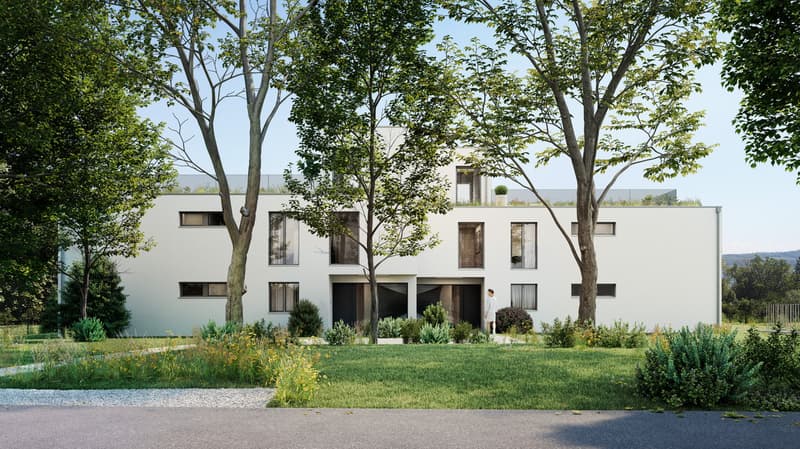 Vaste jardin privatif et vue sur le lac pour ce 5,5 pièces contemporain (2)