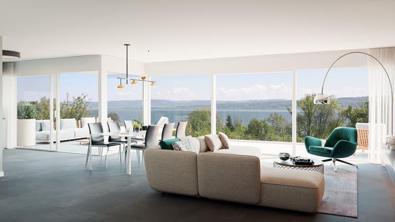 TOIT TERRASSE panoramique de 93 m² et vue sur le lac (7)