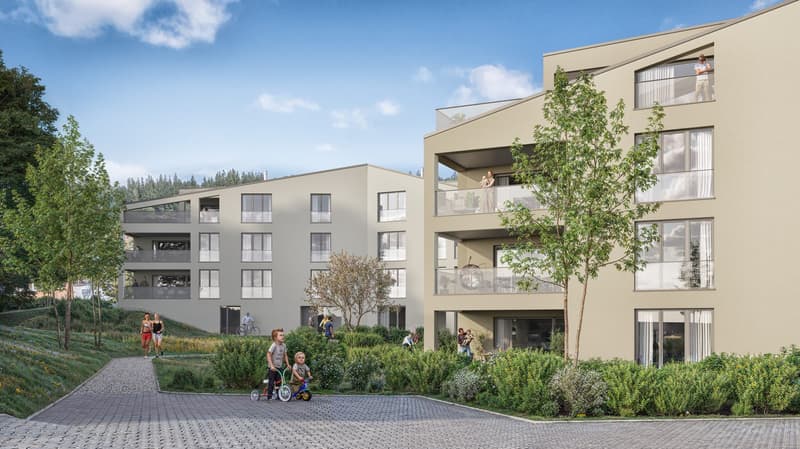 Apartment in Saignelégier (6)