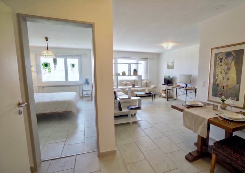 2.5-room apartment with a far-reaching view in Zurich Affoltern (3)