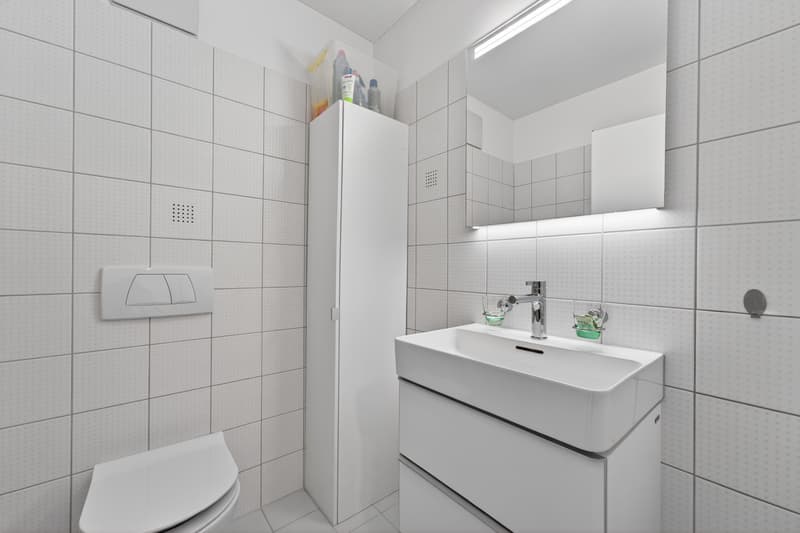 Living like in your own house - 5.5 rooms with garden and spacious floor plan (10)