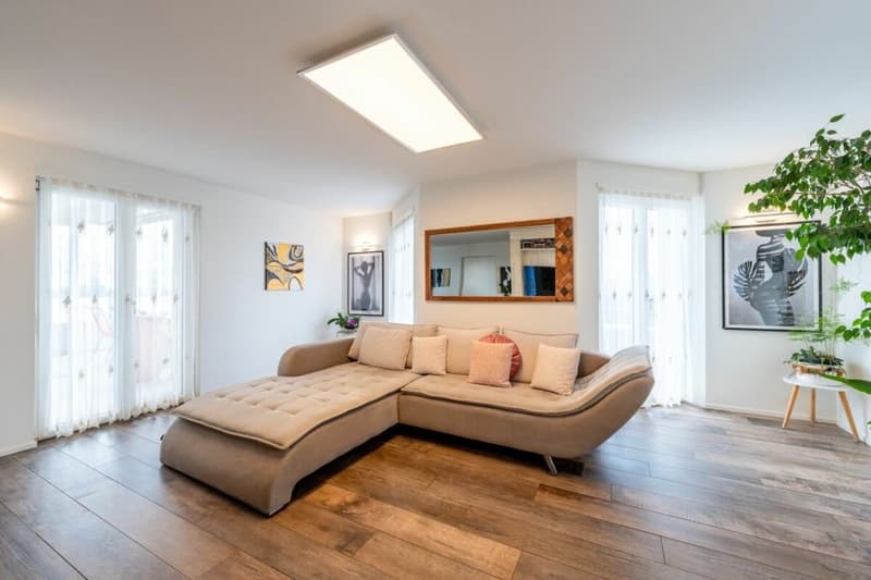 Spacieuse maison unifamiliale 6.5 pièces avec appartement - modernisée (7)