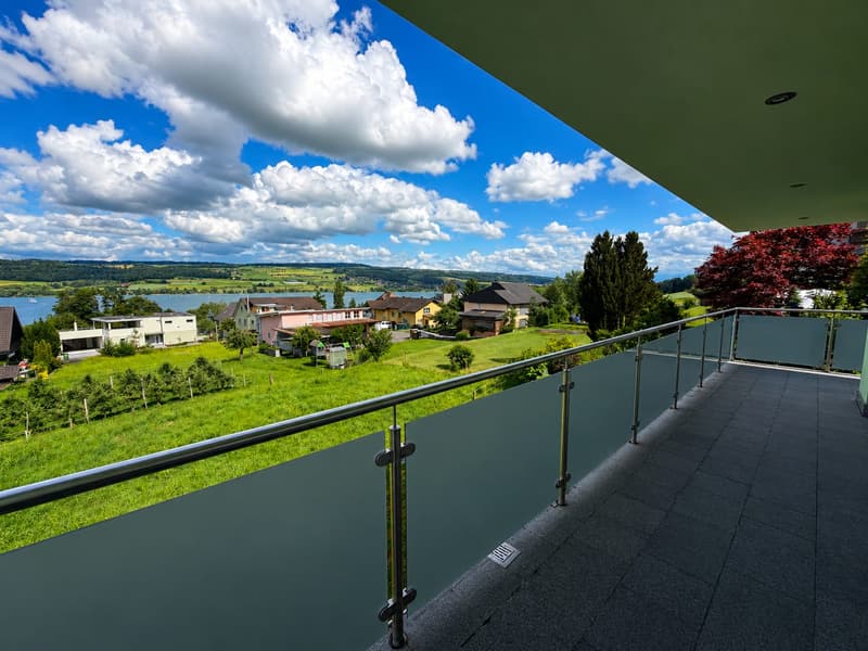 Habitation exclusive avec vue sur le lac inobstructable au Hallwilersee (13)