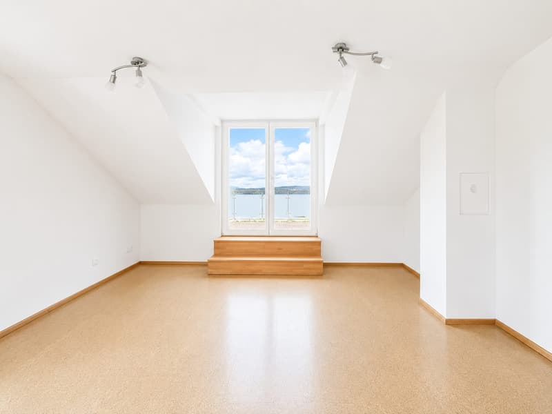 Habitation exclusive avec vue sur le lac inobstructable au Hallwilersee (12)