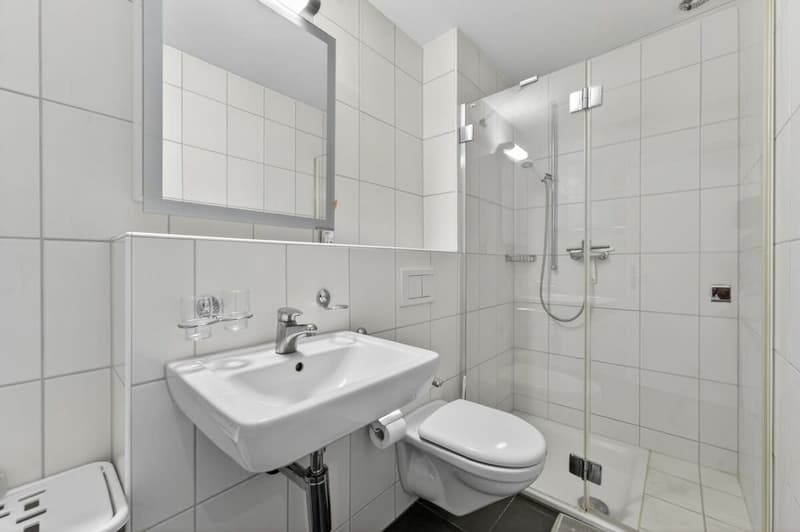 Wohnen mit Weitsicht, Komfort und Minergie-Standard (10)