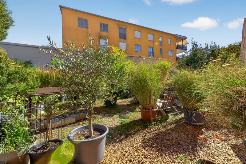 Grosszügige Gartenwohnung - auch als attraktive Kapitalanlage (11)