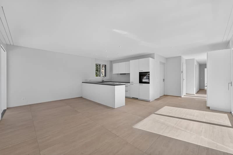 4.5-Zimmer-Attikawohnung - Erstbezug mit grosszügiger Terrasse und direktem Liftzugang (2)