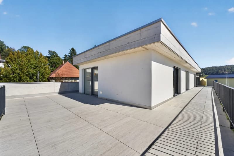 4.5-Zimmer-Attikawohnung - Erstbezug mit grosszügiger Terrasse und direktem Liftzugang (11)