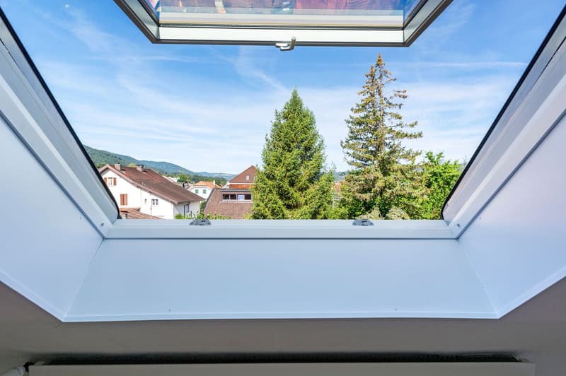 Vue Velux/Balcon Salon