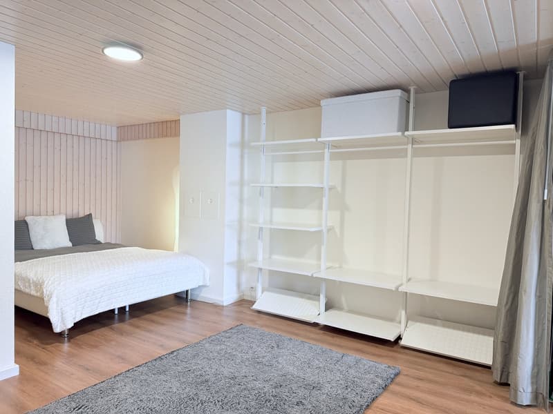 Furnished loft 1.5 rooms — all inclusive — Courfaivre (8)