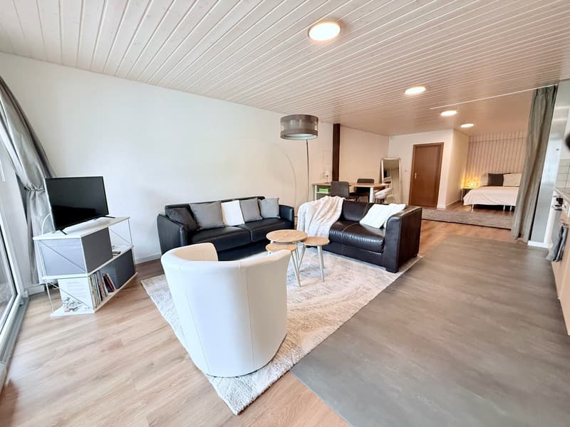 Furnished loft 1.5 rooms — all inclusive — Courfaivre (1)