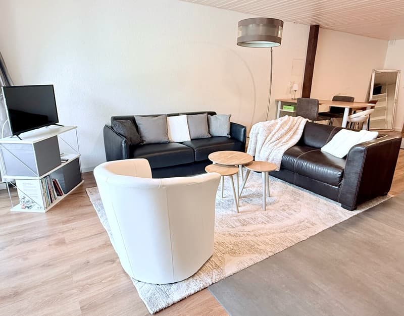 Furnished loft 1.5 rooms — all inclusive — Courfaivre (2)