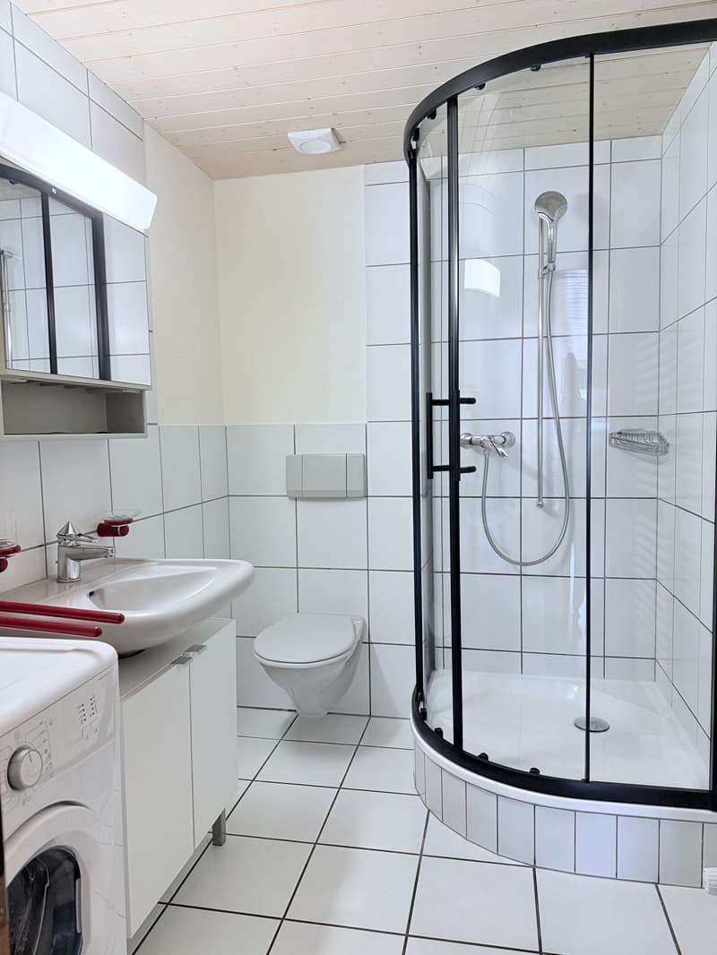 Furnished loft 1.5 rooms — all inclusive — Courfaivre (10)