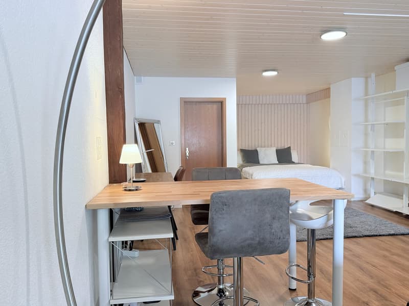 Furnished loft 1.5 rooms — all inclusive — Courfaivre (3)