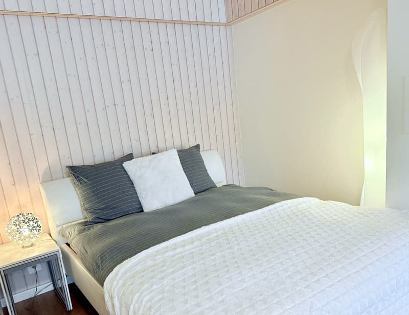 Furnished loft 1.5 rooms — all inclusive — Courfaivre (7)