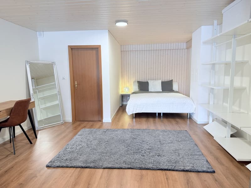 Furnished loft 1.5 rooms — all inclusive — Courfaivre (6)