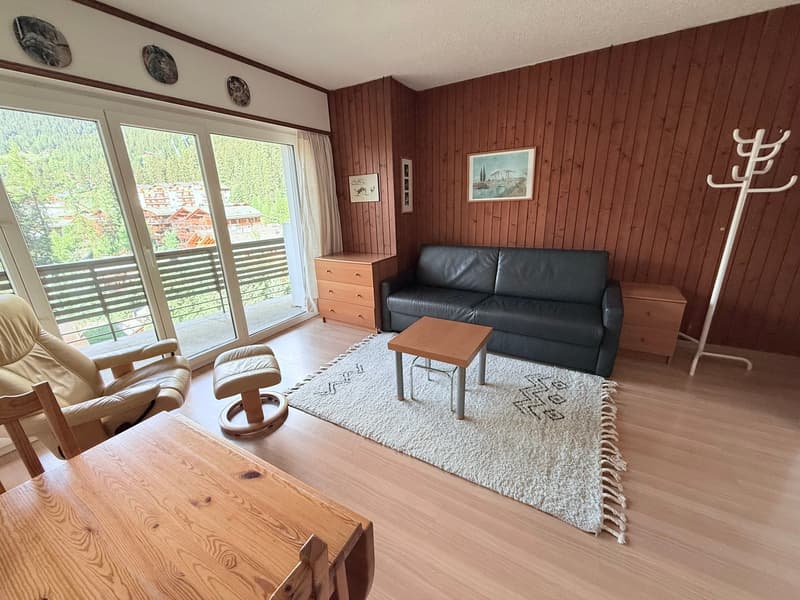 Studio meublé au pied des 4 Vallées - 300 m de Médran - Place de parc (3)