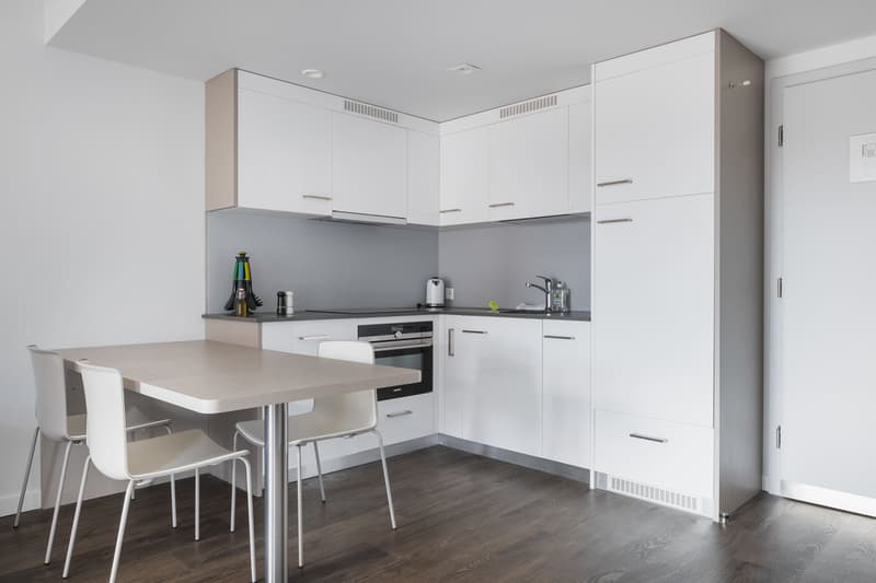 Delizioso studio moderno a Nyon, disponibile immediatamente (3)