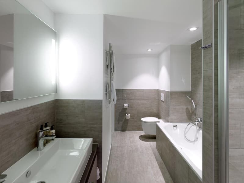 Delizioso appartamento di 2 locali a Nyon, disponibile immediatamente (3)