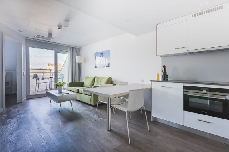 Delizioso appartamento di 2 locali a Nyon, disponibile immediatamente (2)